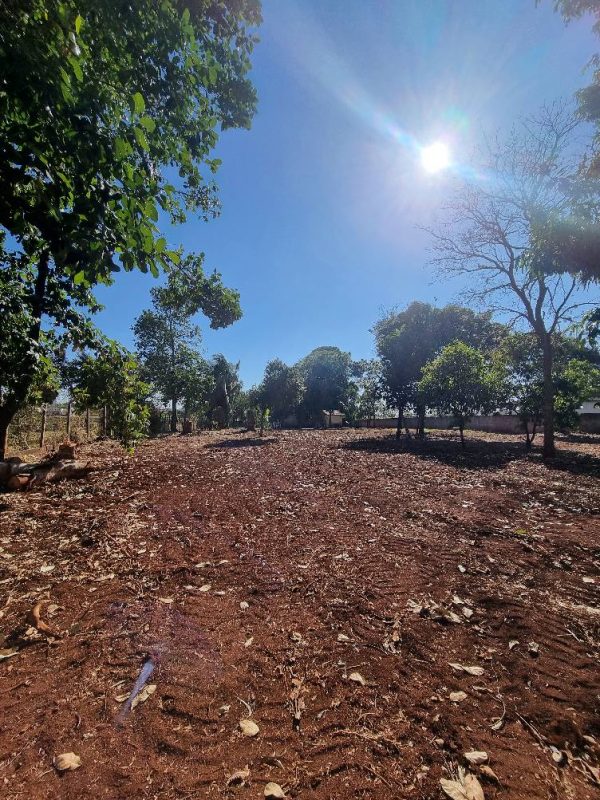 534670702_1310917497706603_3246792973630121918_n