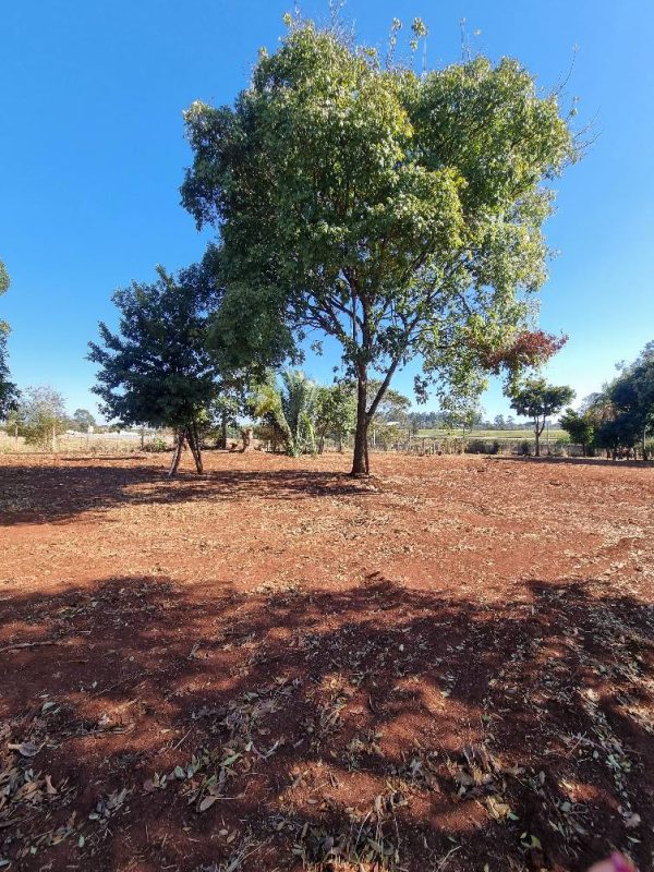 534741626_1310917954373224_7681980432339836159_n