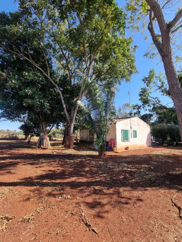 535578981_1310918107706542_8203545285288281908_n