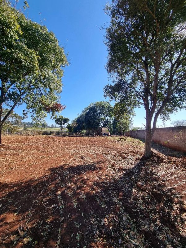 536267702_1310917694373250_6093998220438943669_n