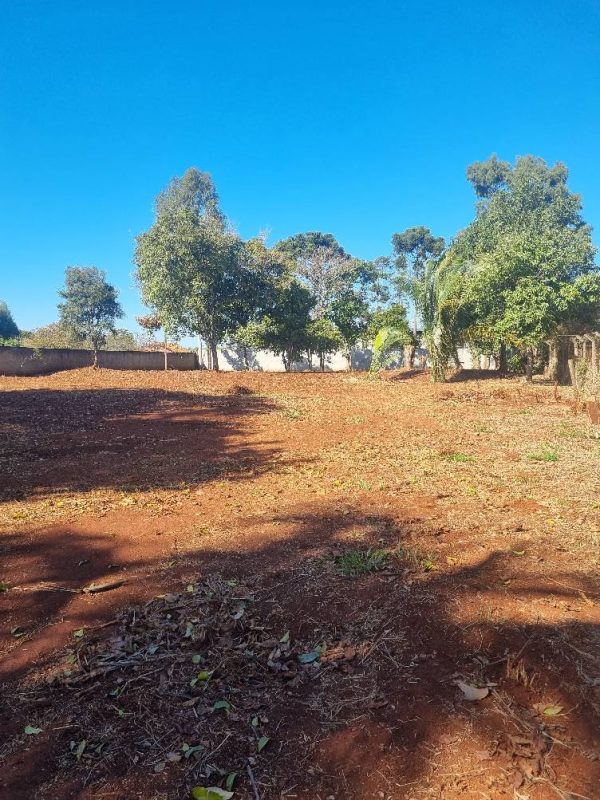 536268097_1310917384373281_940968292995355132_n