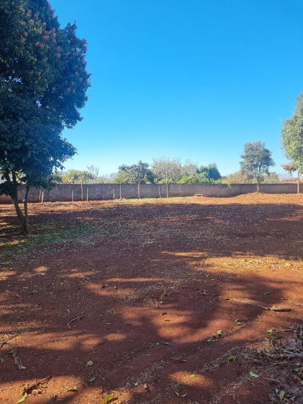 536275022_1310917441039942_8588193100641350479_n