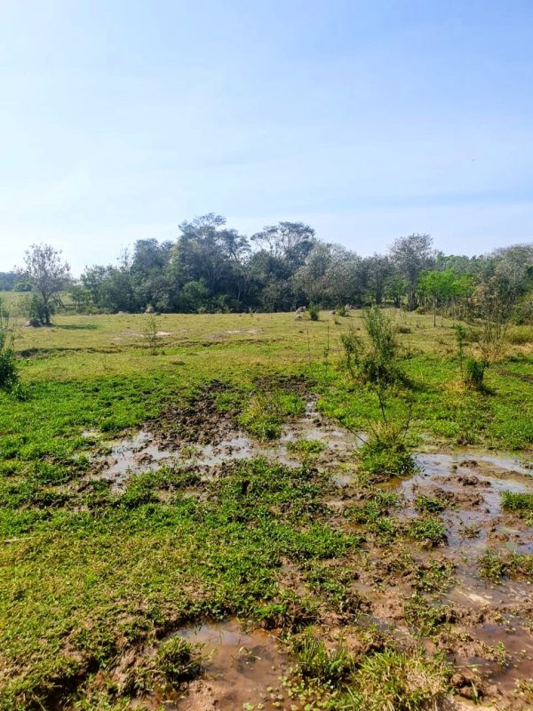 538487797_661736856949741_5956523292911794505_n