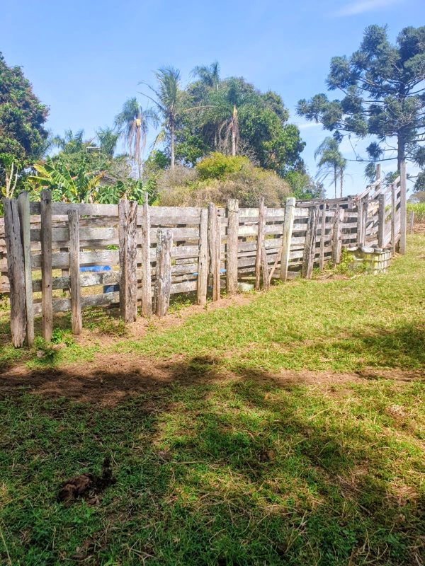 538588251_661736980283062_1931942409841690253_n