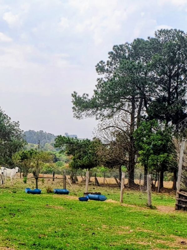 538693461_661737030283057_6742983913049282799_n