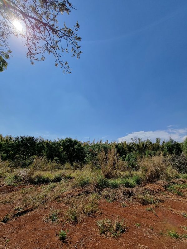 538978161_1318517970279889_5884982364062951825_n