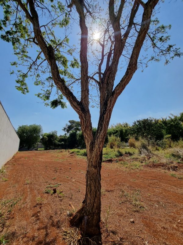 539151548_1318518003613219_7471630495502030332_n