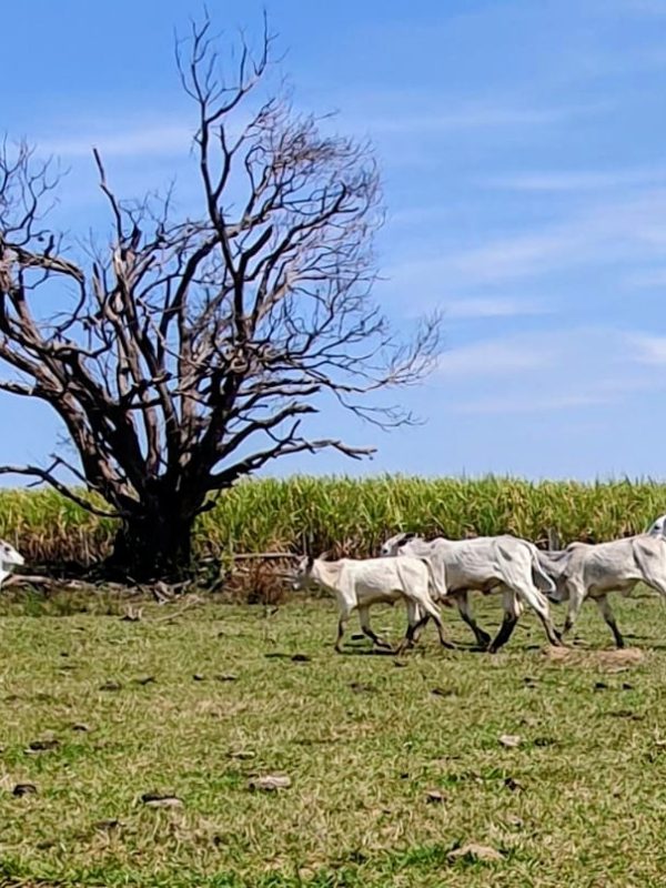 539618996_661736823616411_480604689426179580_n