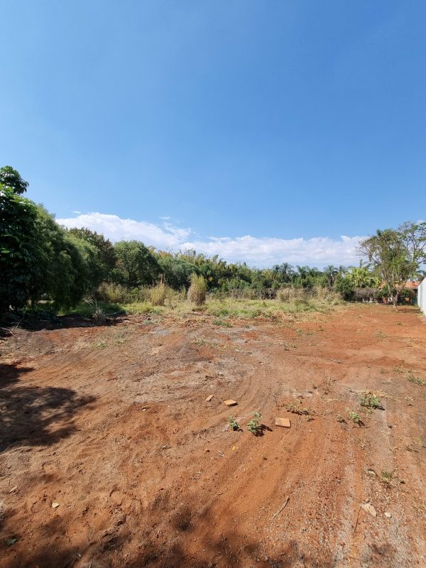 540008441_1318518070279879_2637645797528844582_n