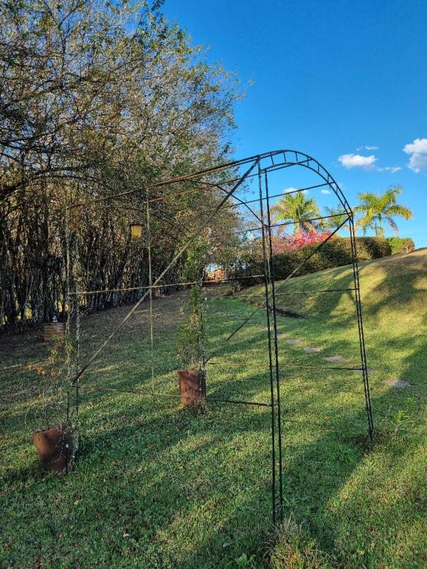 540568714_1324724142992605_5936559973933378248_n