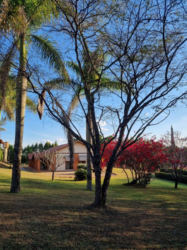 540688543_1324735649658121_6467539982032244297_n