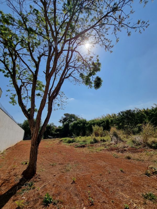 540733748_1318517916946561_4256878353463950709_n