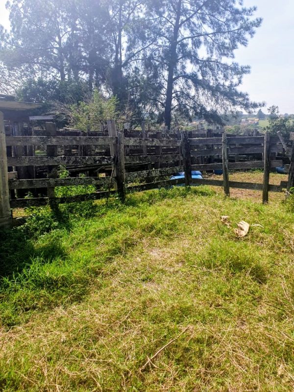 540840877_661737003616393_2835987111018049391_n