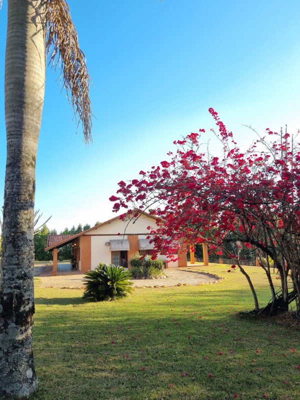 541415445_1324736779658008_5028222431313535343_n