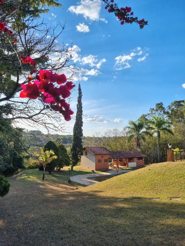 542756423_1324723926325960_2964242822342222333_n