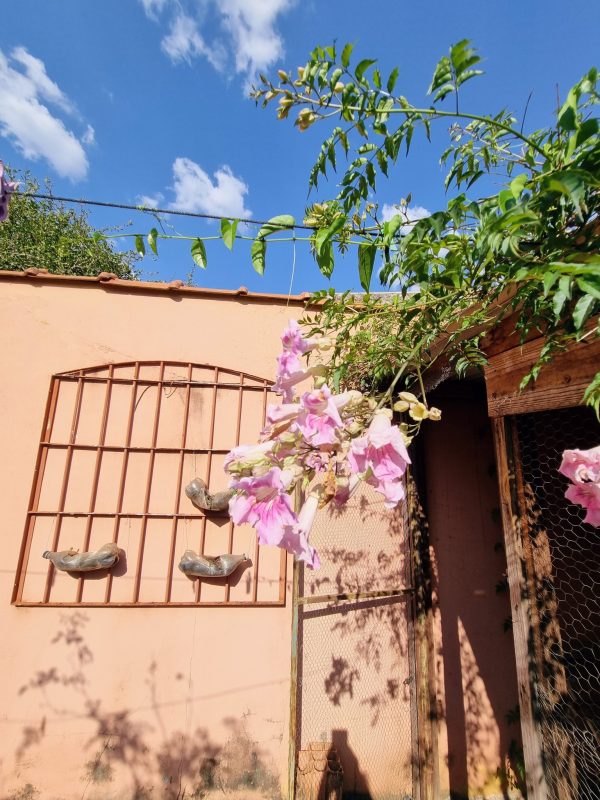 550010568_1340294718102214_7626569491976917064_n