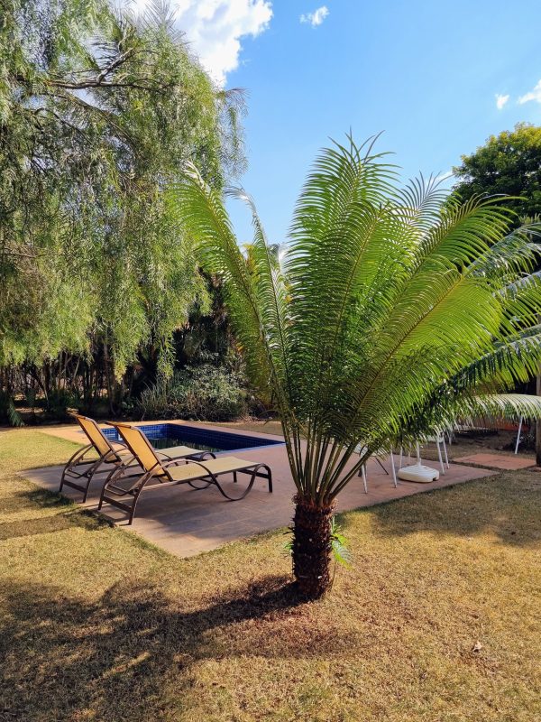 550466149_1340294918102194_5362072519163331284_n