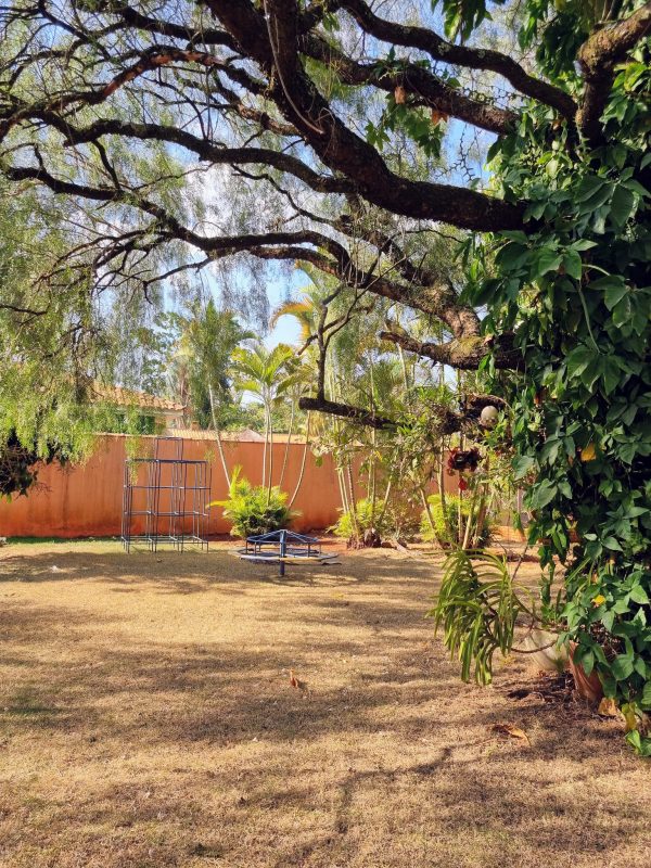 550896674_1340294454768907_2726301643635305271_n