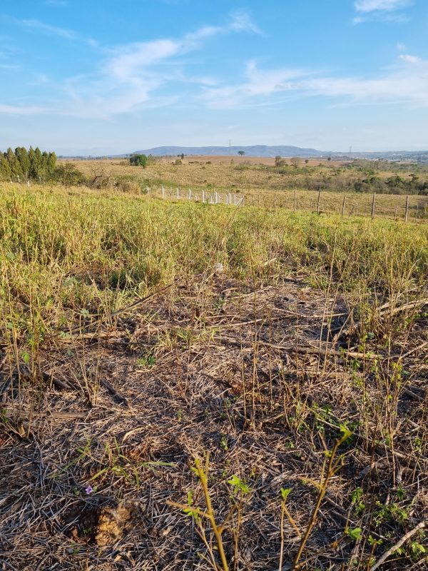 552523964_1342730201191999_1829083768236563608_n (1)