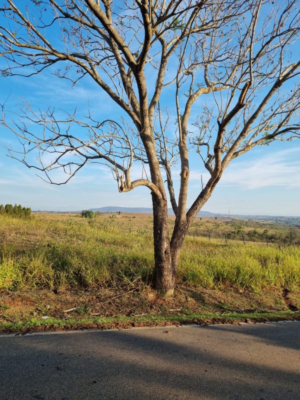 552818419_1342730011192018_5438094012716709059_n