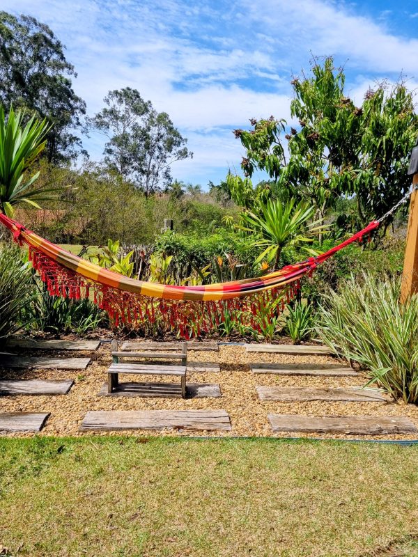 556414403_1347880784010274_6350493736975155553_n