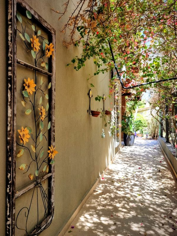 556858950_1347880560676963_2899073279436759530_n