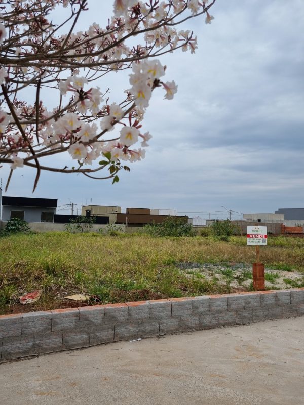 557385129_690949550695138_770474314326216240_n