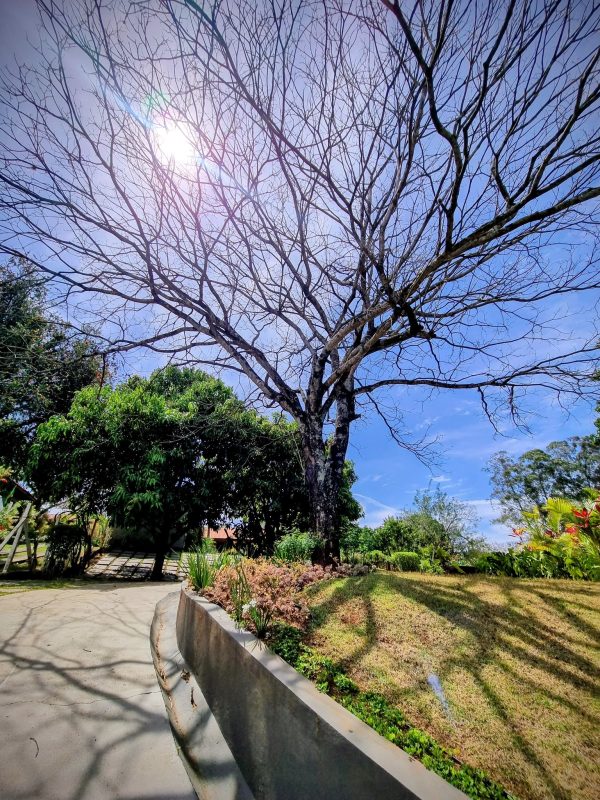 557638857_1347881257343560_1322533421647761731_n