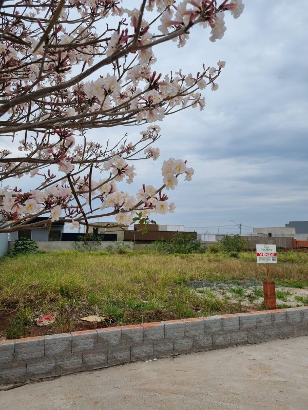 559061909_690949207361839_4665047753608019371_n