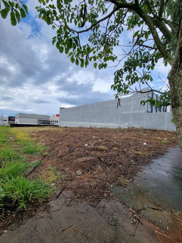 574108238_714479935008766_8620915035028340226_n