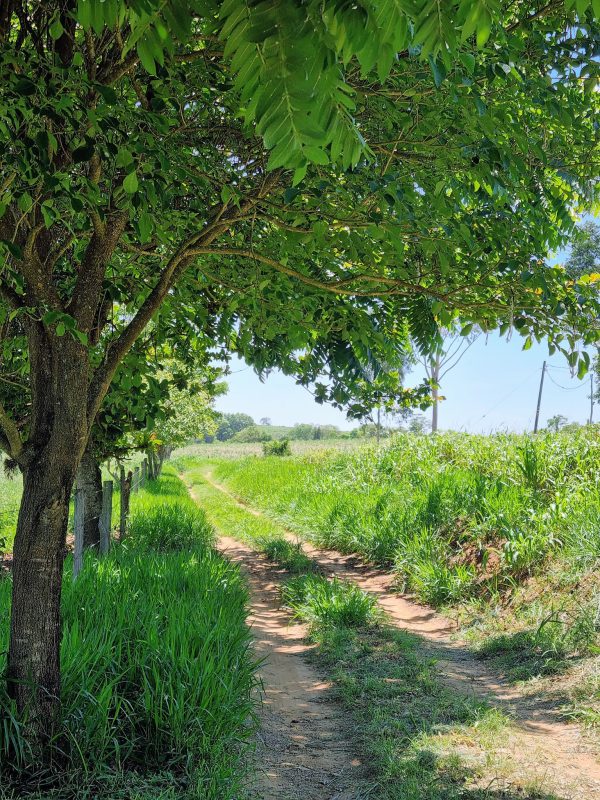 579635649_726289787161114_1175013949514421372_n