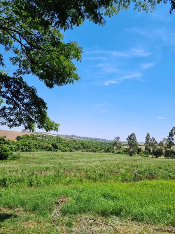 579681919_726283643828395_3351688917315727678_n