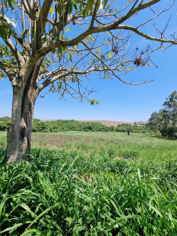 580483805_726290007161092_1563927177281994989_n