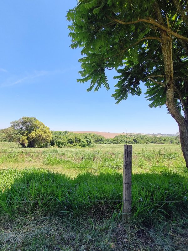 581038284_726290207161072_6909060433728411285_n