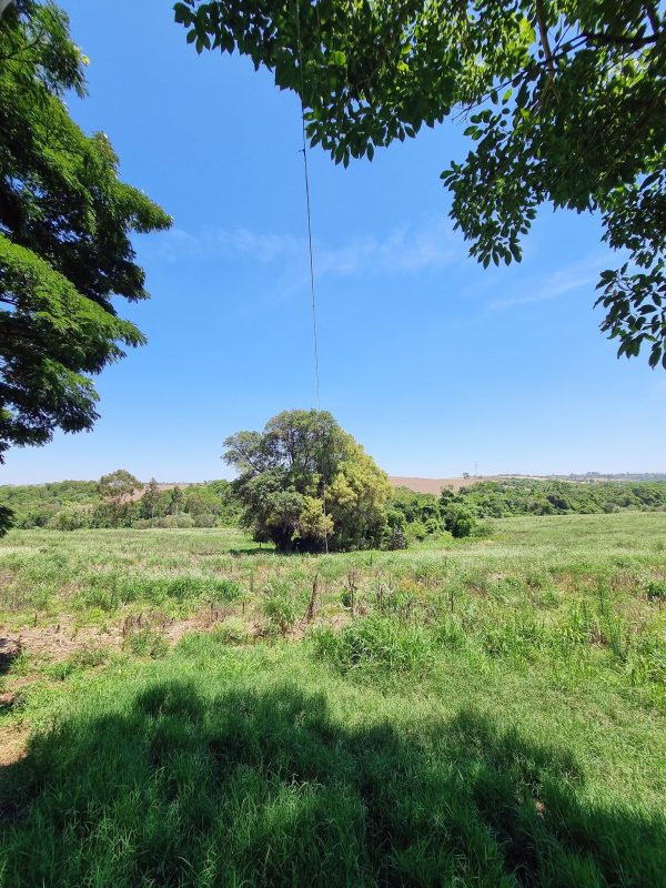 581089168_726290273827732_5207517585887609587_n