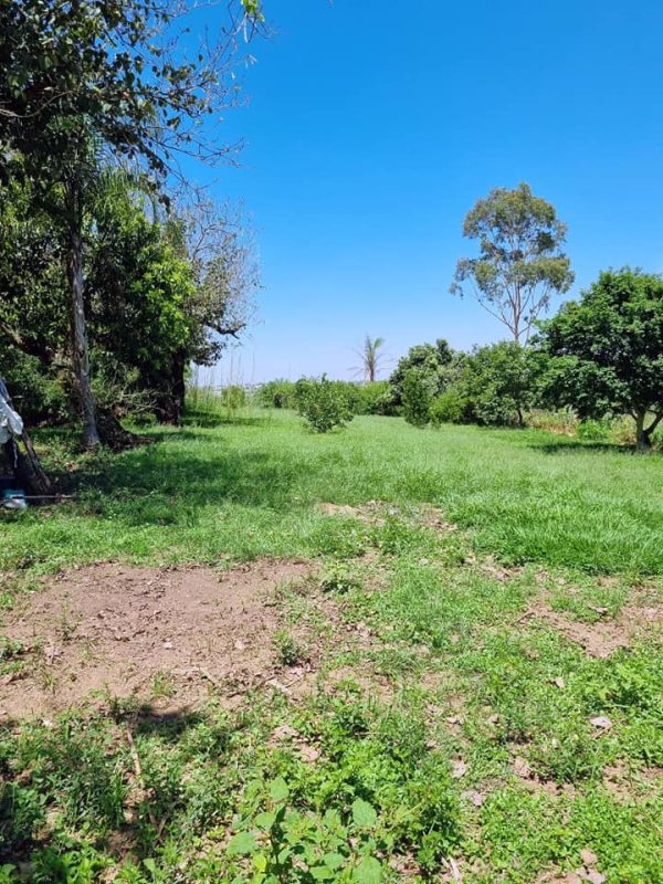 581138469_726283783828381_5242744807237590198_n