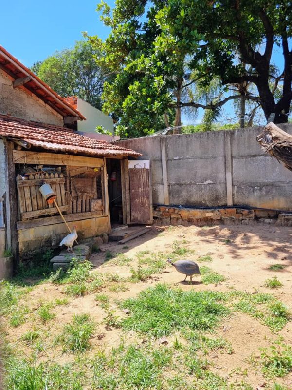 581686374_726283730495053_3646052445945484653_n