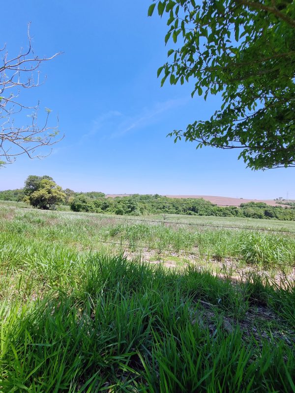 581928390_726290090494417_3432704378391353405_n