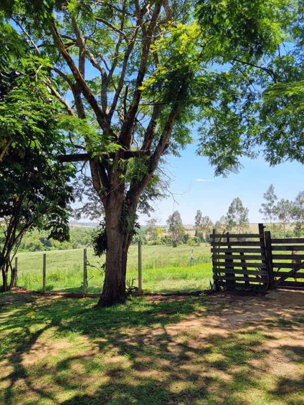 581939015_726284177161675_3754531674410607636_n