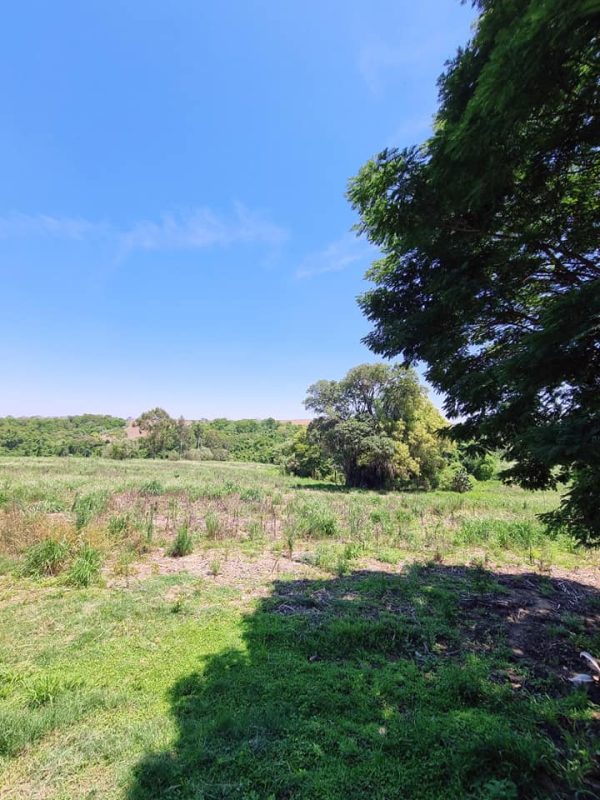 581942487_726284210495005_5808646924409105885_n