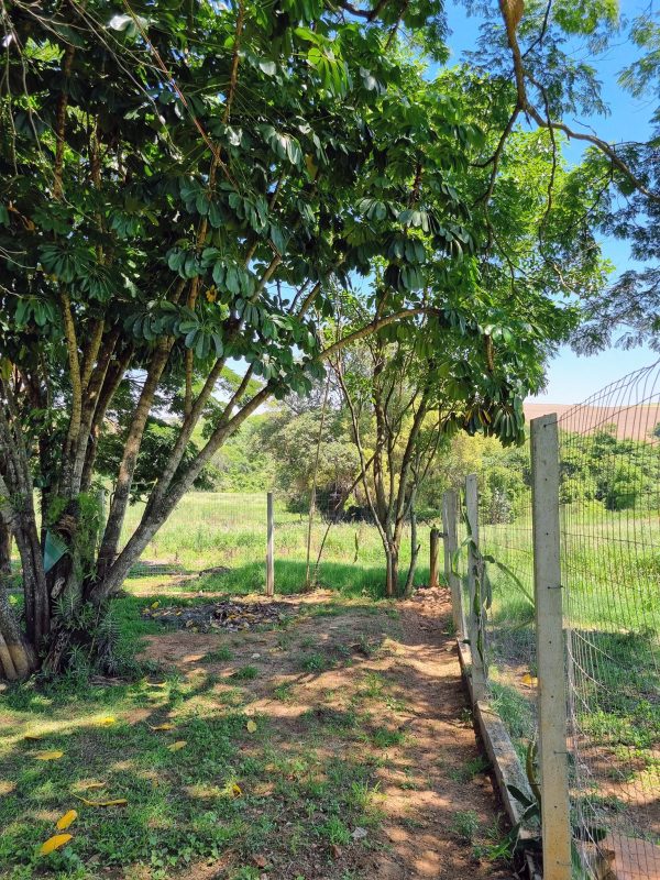 581942518_726290350494391_8483450428773565650_n