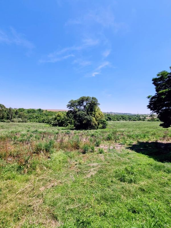 582034608_726289370494489_1444016546575844725_n