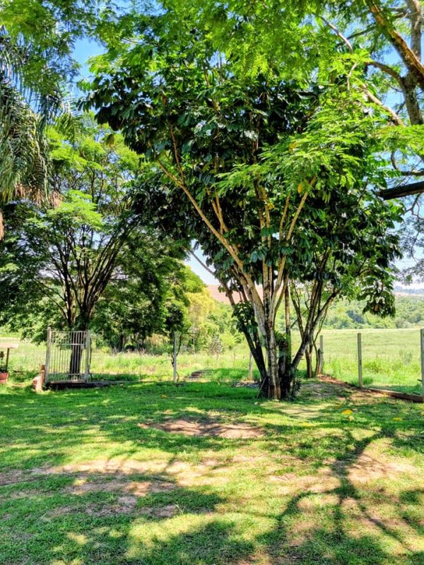 582518228_726284120495014_2460522879107811690_n