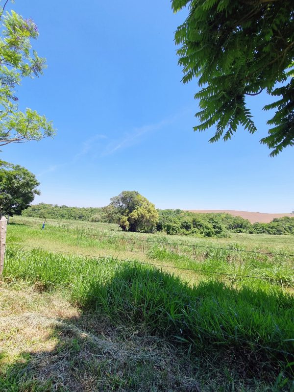 582651921_726290143827745_1524419127831164174_n