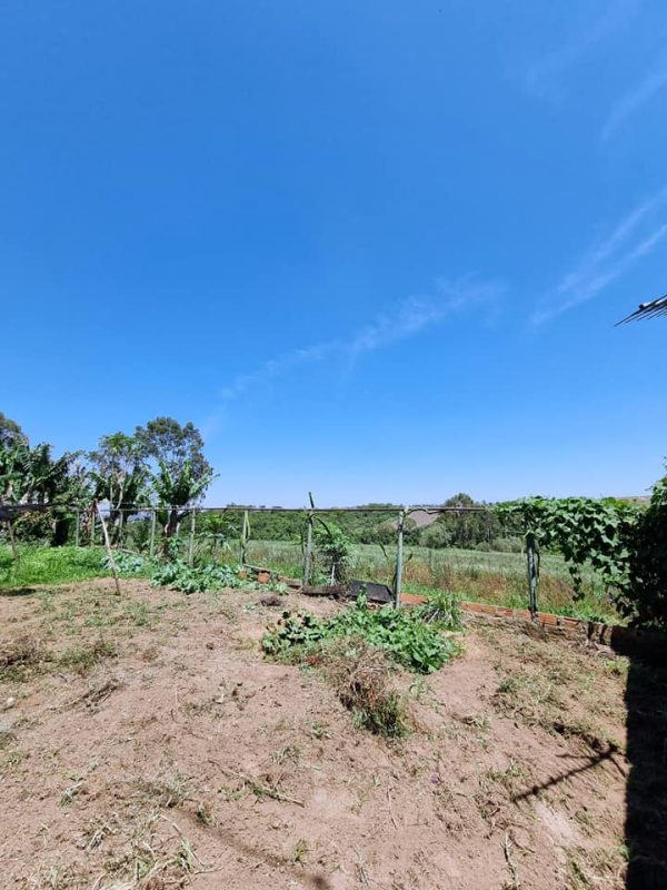 583393916_726284650494961_8290322246533585241_n