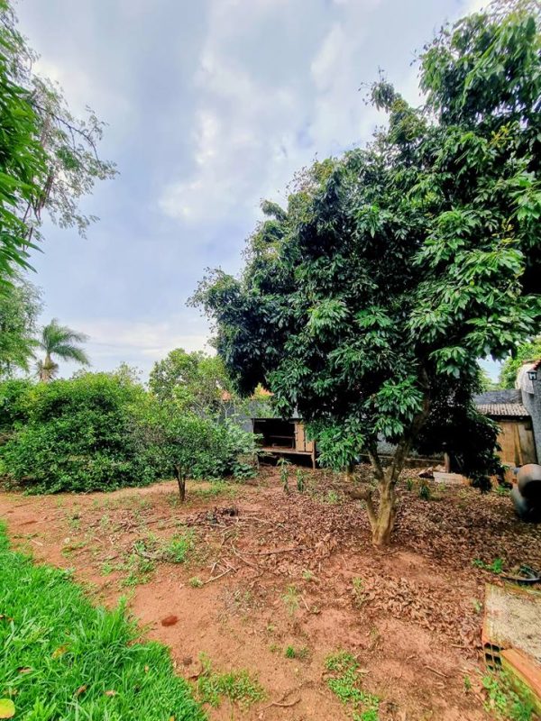 587604228_735119252944834_619998206876276770_n