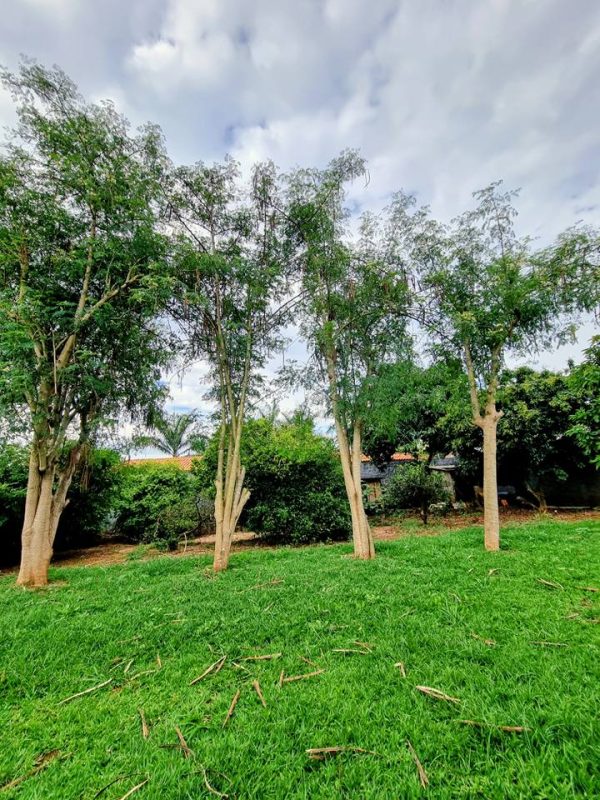 588258989_735119212944838_4486947778122637_n