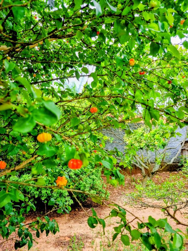 588726535_735120692944690_5987866855491855283_n