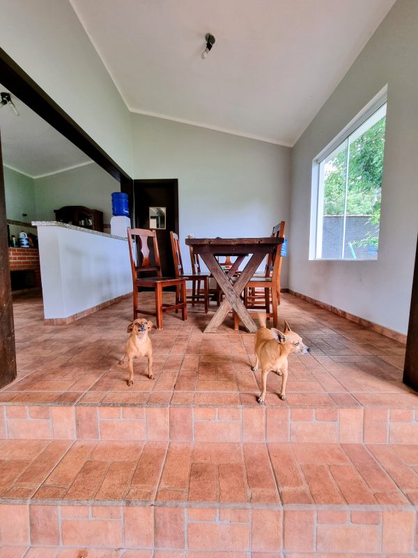 589729562_735120172944742_5329137952003227826_n