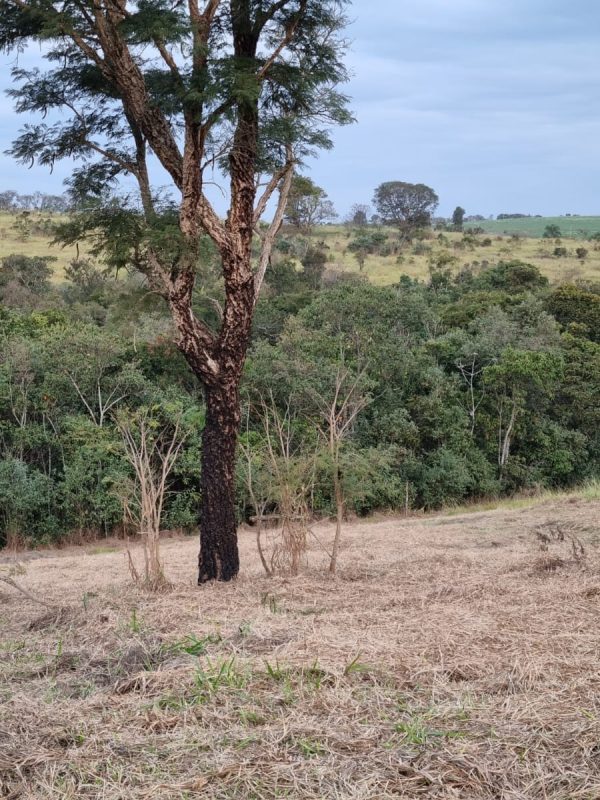 59097ab8-e8e5-417f-8672-83bae9386bf7-qtnpj6jdpfjdjrld3fptldjk0c5wdua8x1q5z47xhc